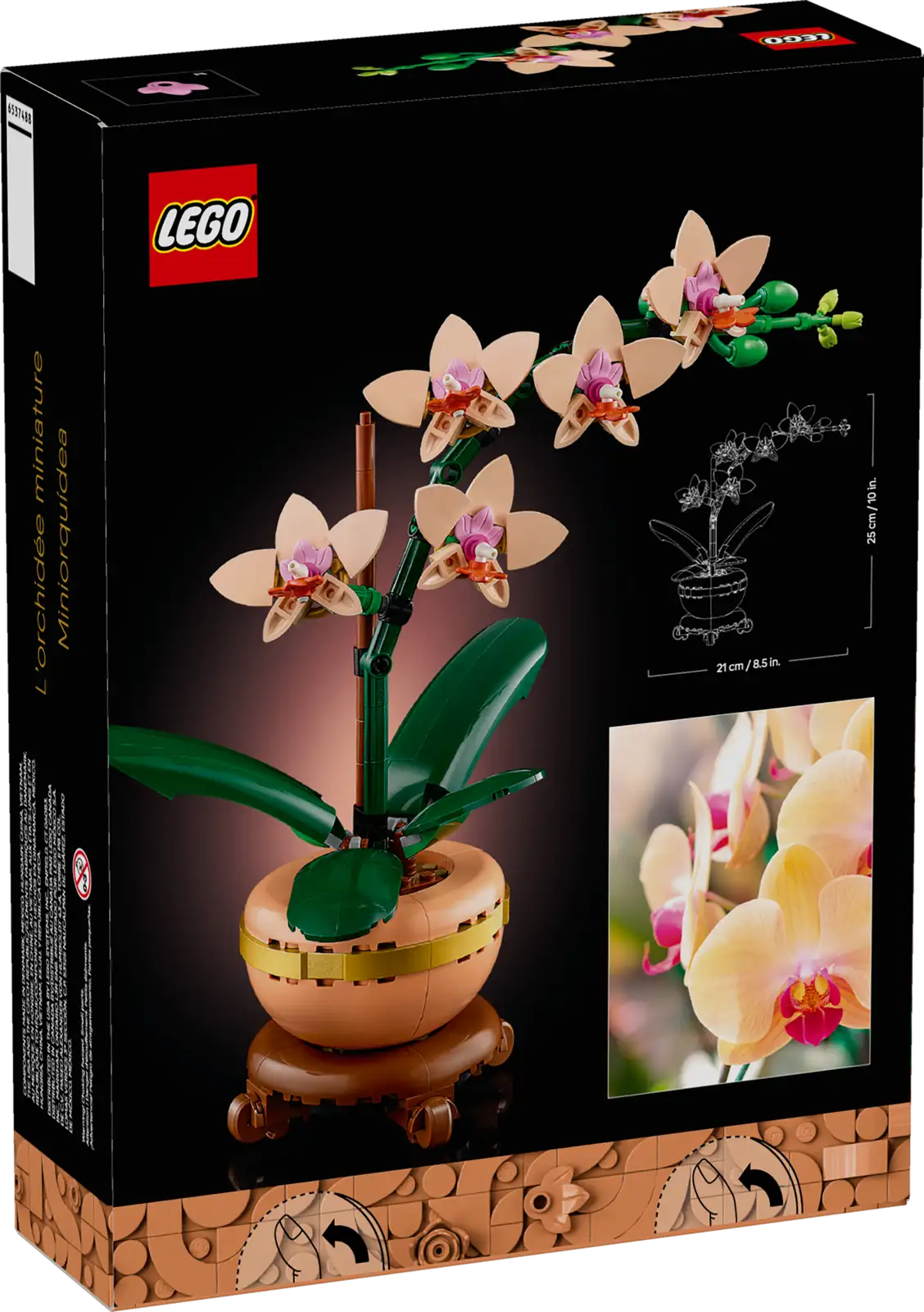 10343 Mini Orchid