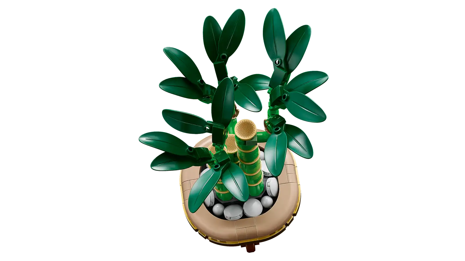 10344 Lucky Bamboo