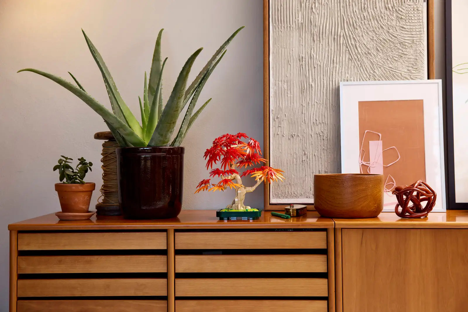 10348 Japanese Red Maple Bonsai Tree