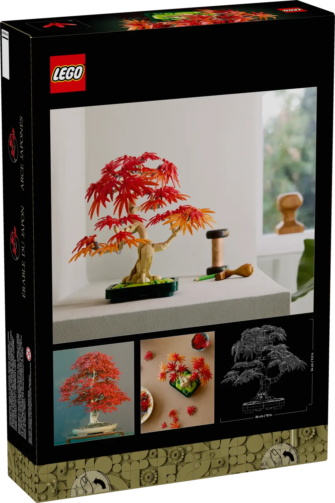 10348 Japanese Red Maple Bonsai Tree