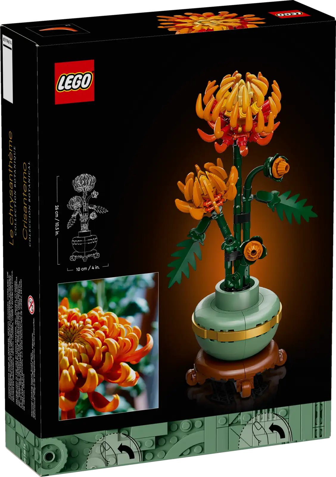 10368 Chrysanthemum