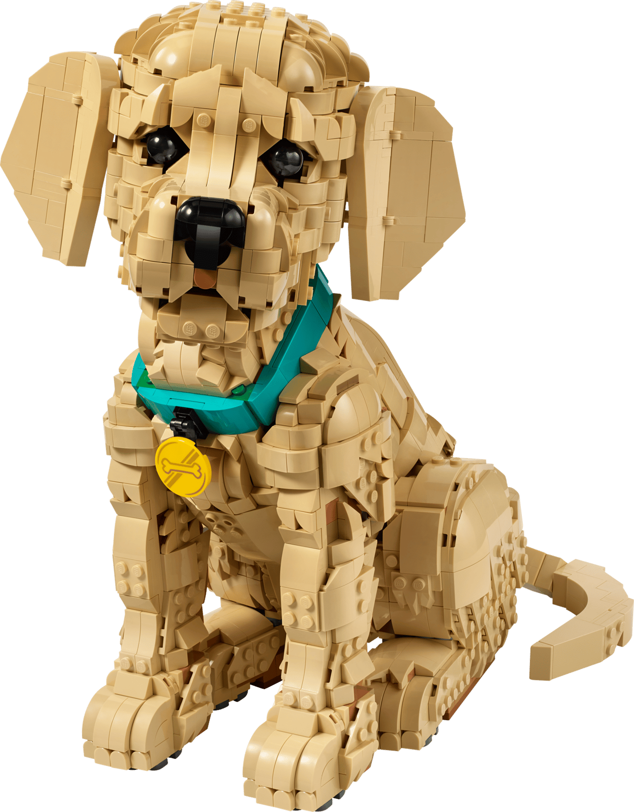 11384 Golden Retriever Puppy