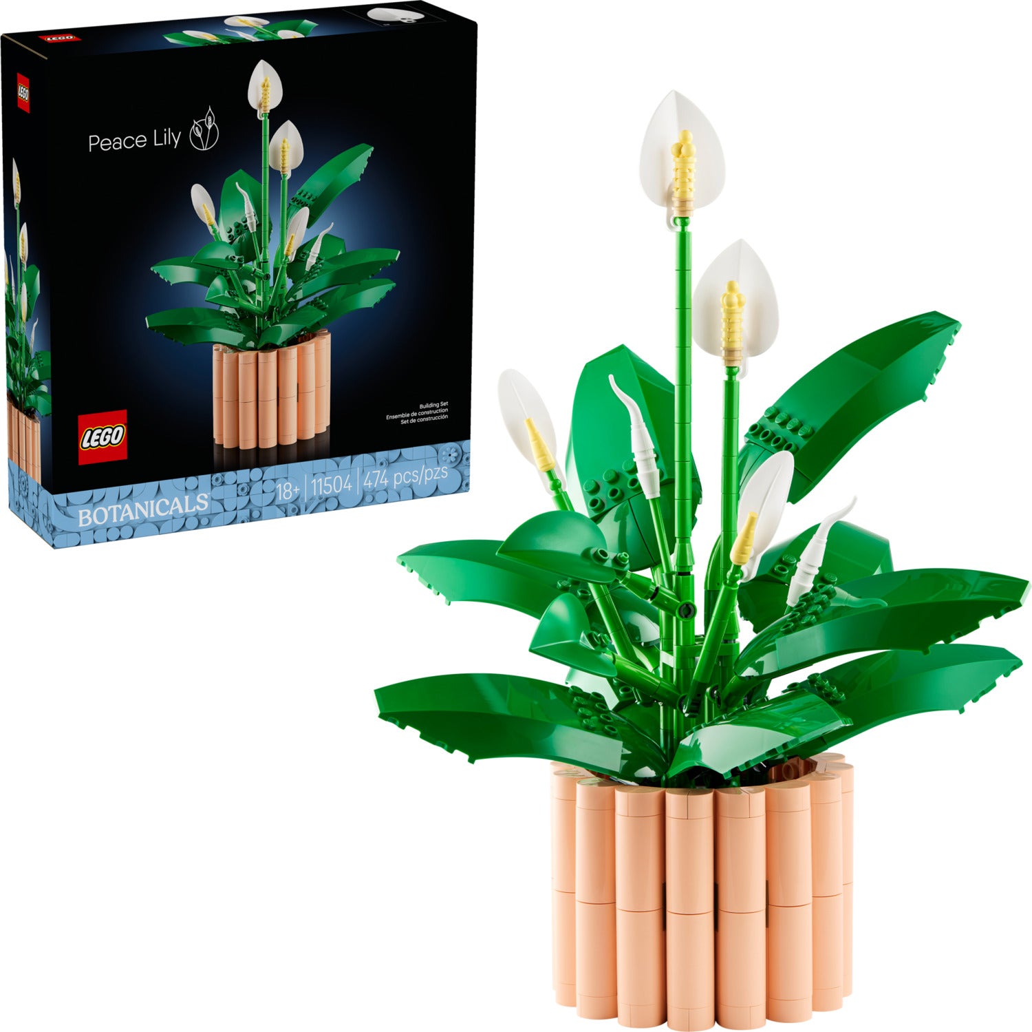 11504 Peace Lily