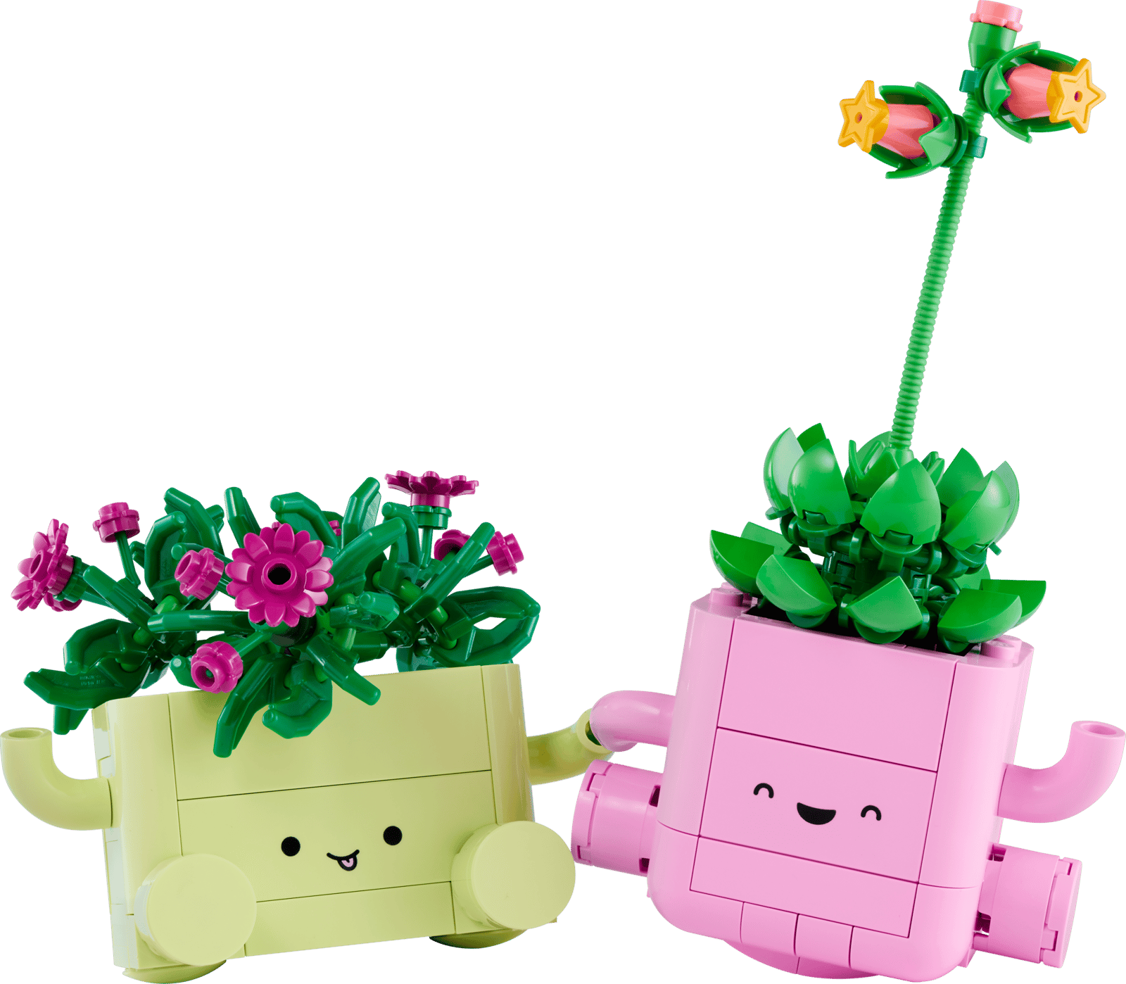 11506 Rocking Plants