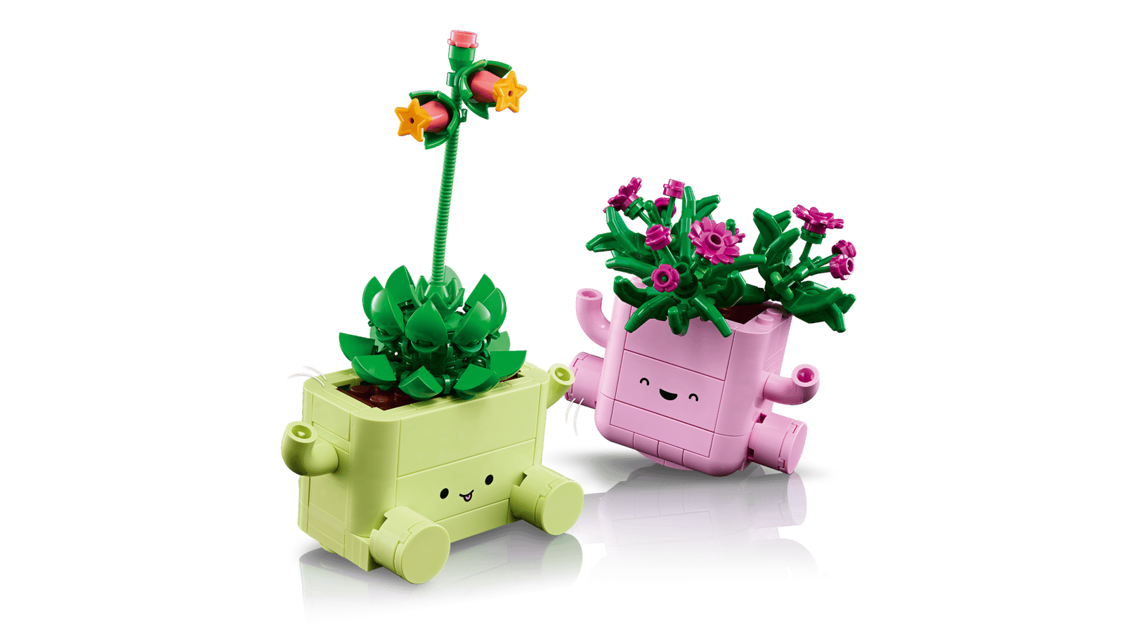 11506 Rocking Plants