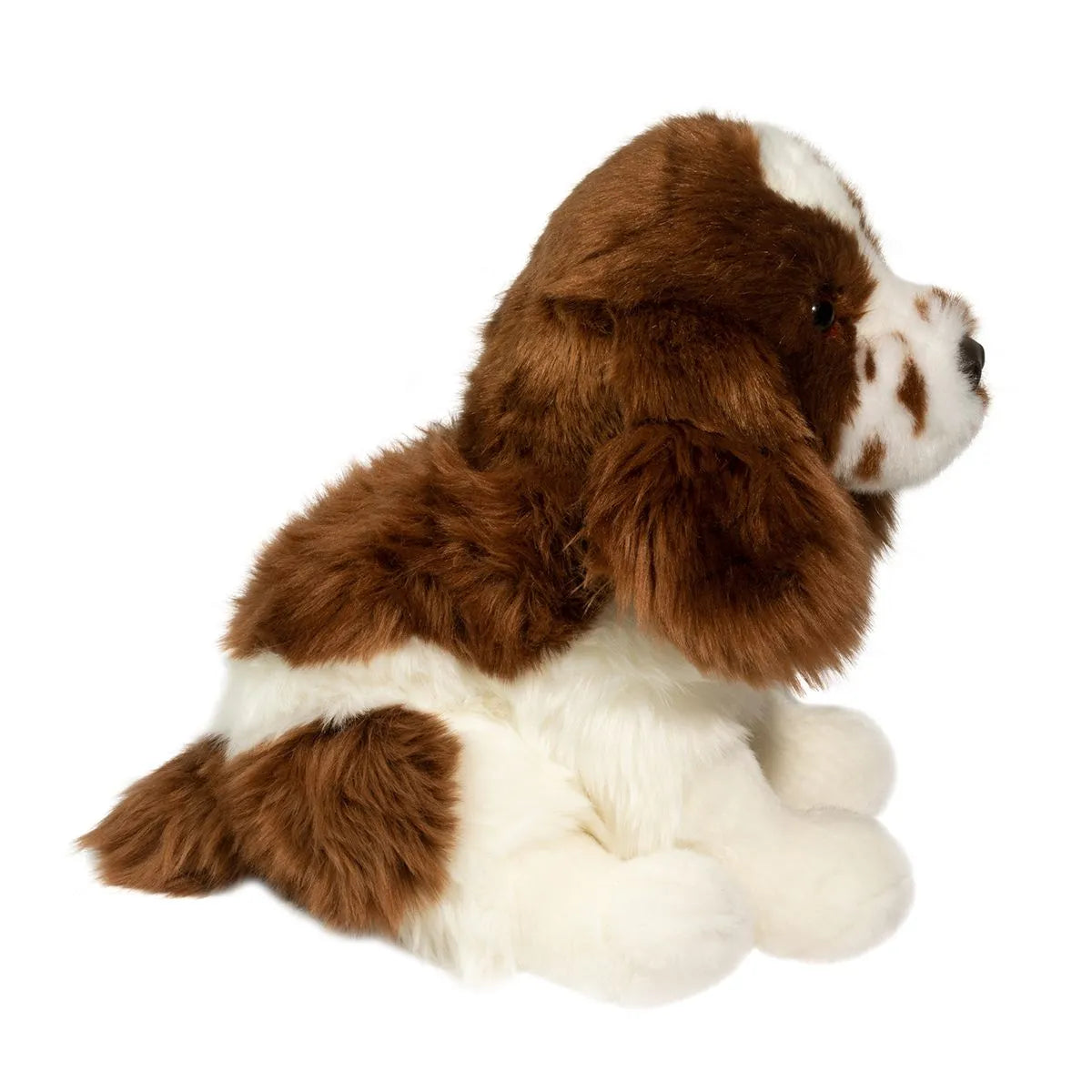 Chip Springer Spaniel