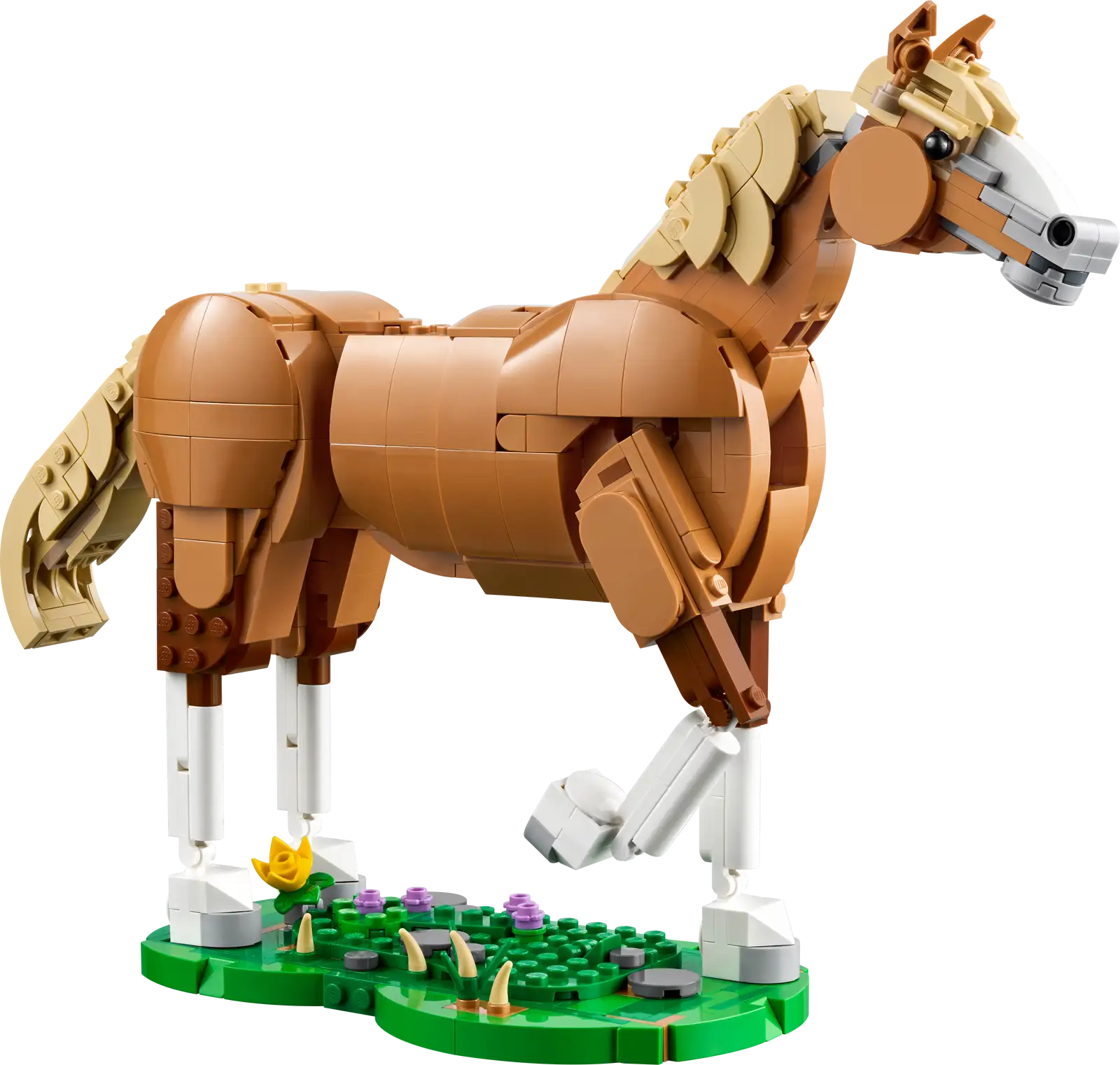 31166 Beautiful Horse