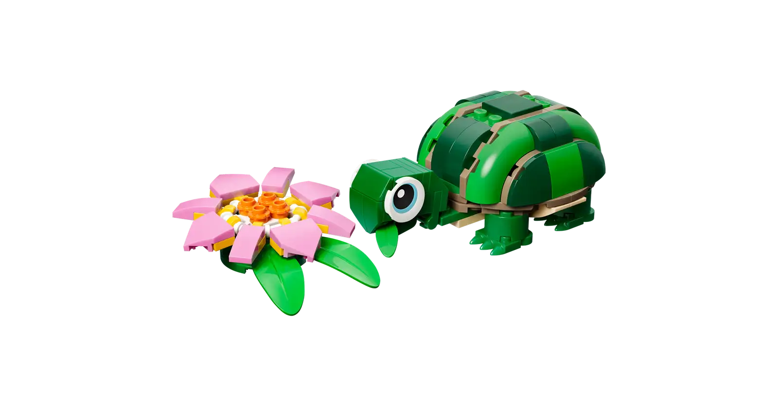 31377 Turtle with a Water Lily Flower