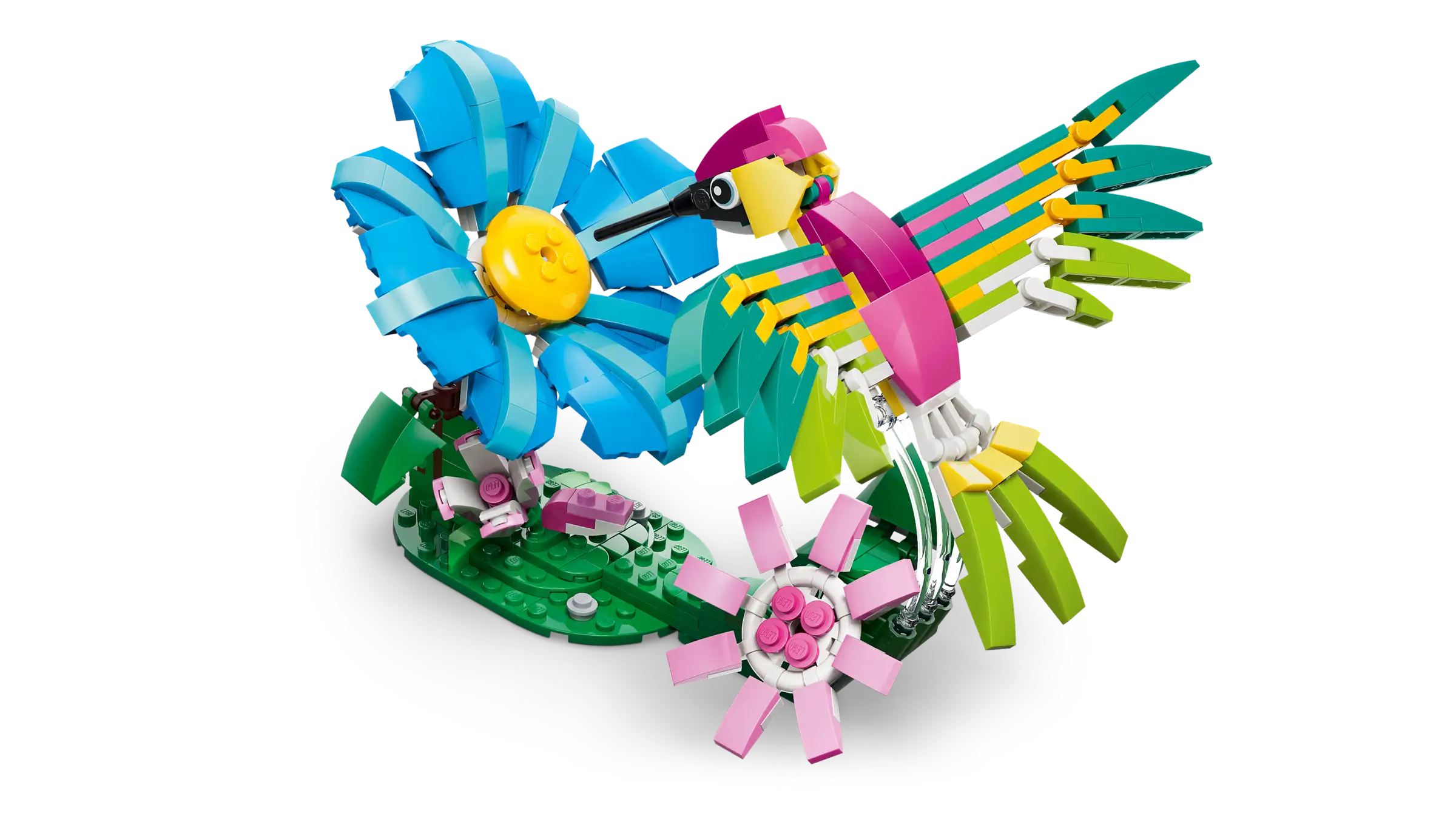 31384 Wild Animals: Colorful Hummingbird