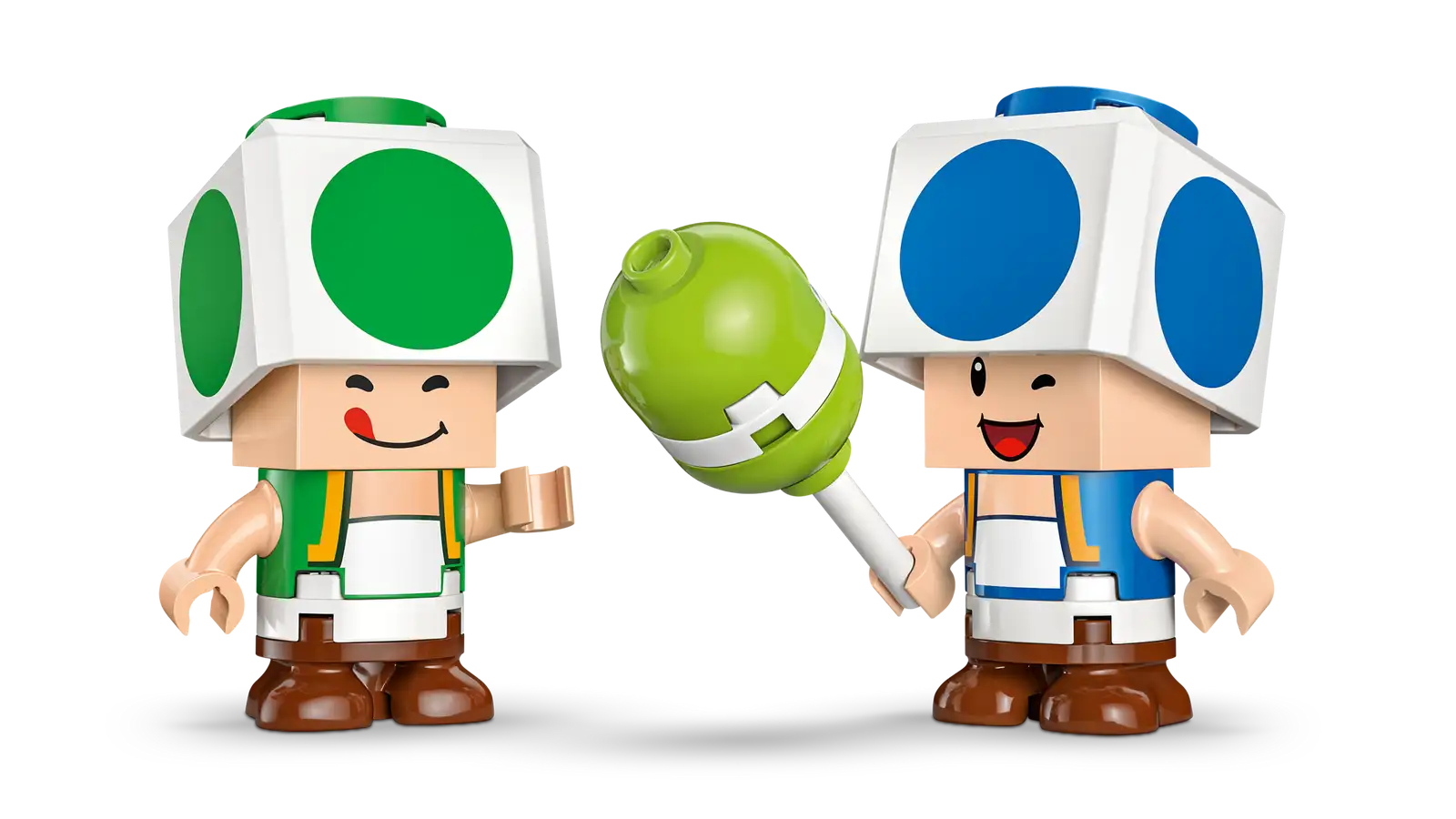 72041 Party at Toad's House