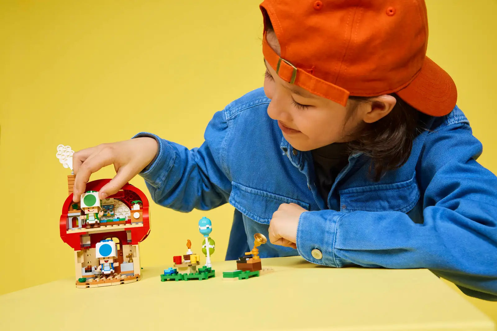 72041 Party at Toad's House