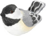 Black Capped Chickadee Audubon II Bird