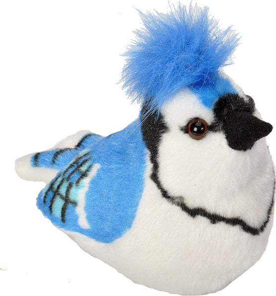 Blue Jay Audubon II Bird