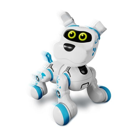 Buddy Bot