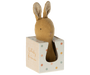 Lullaby Friends Bunny Rattle