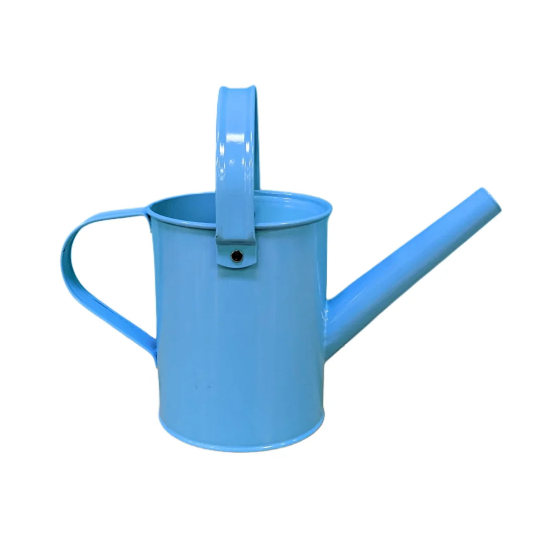 Butterfly Rainbow Garden Watering Can