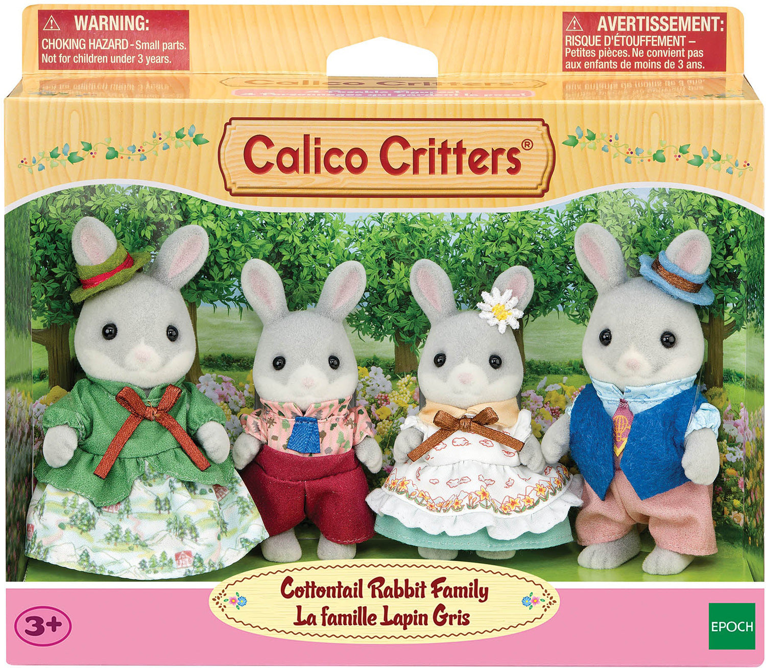 Cottontail Rabbit Family