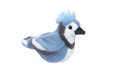 Denim Bluejay