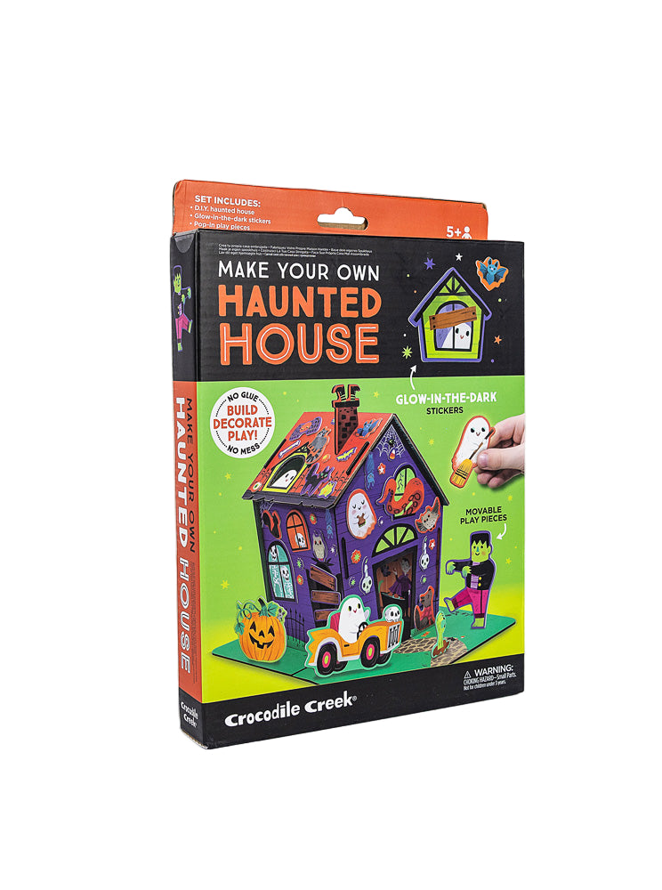 Design and Build a Haunted House Kit