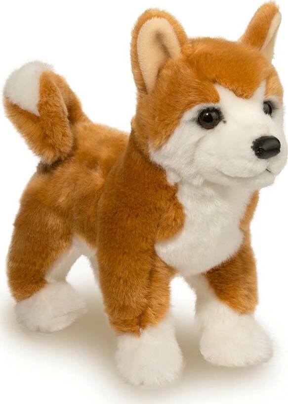 Dunham Shiba Inu