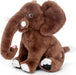 Expedition -Elephant