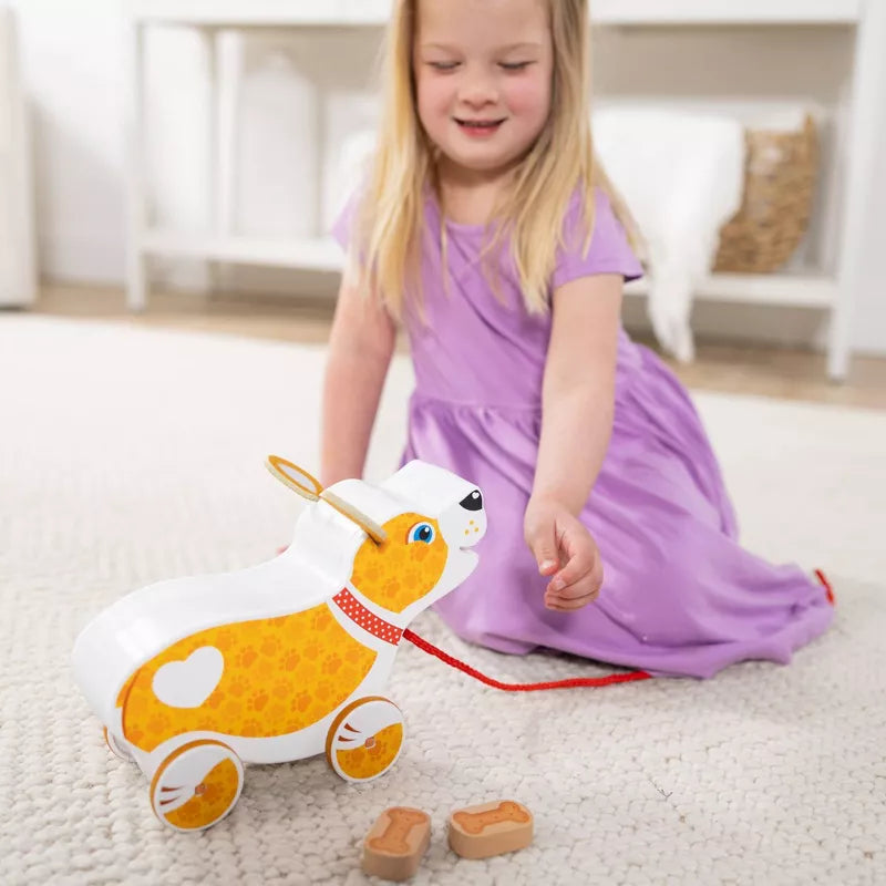 Feed, Walk, and Poo Pup