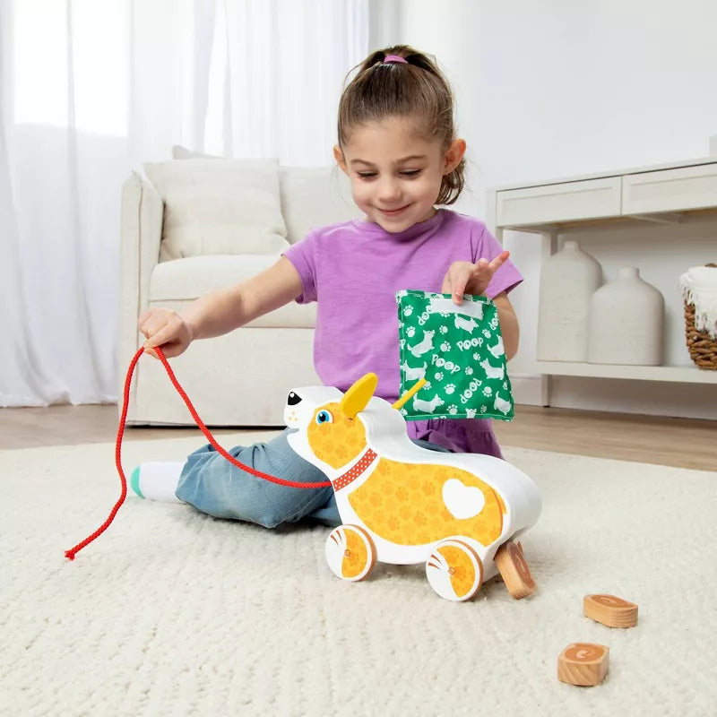 Feed, Walk, and Poo Pup