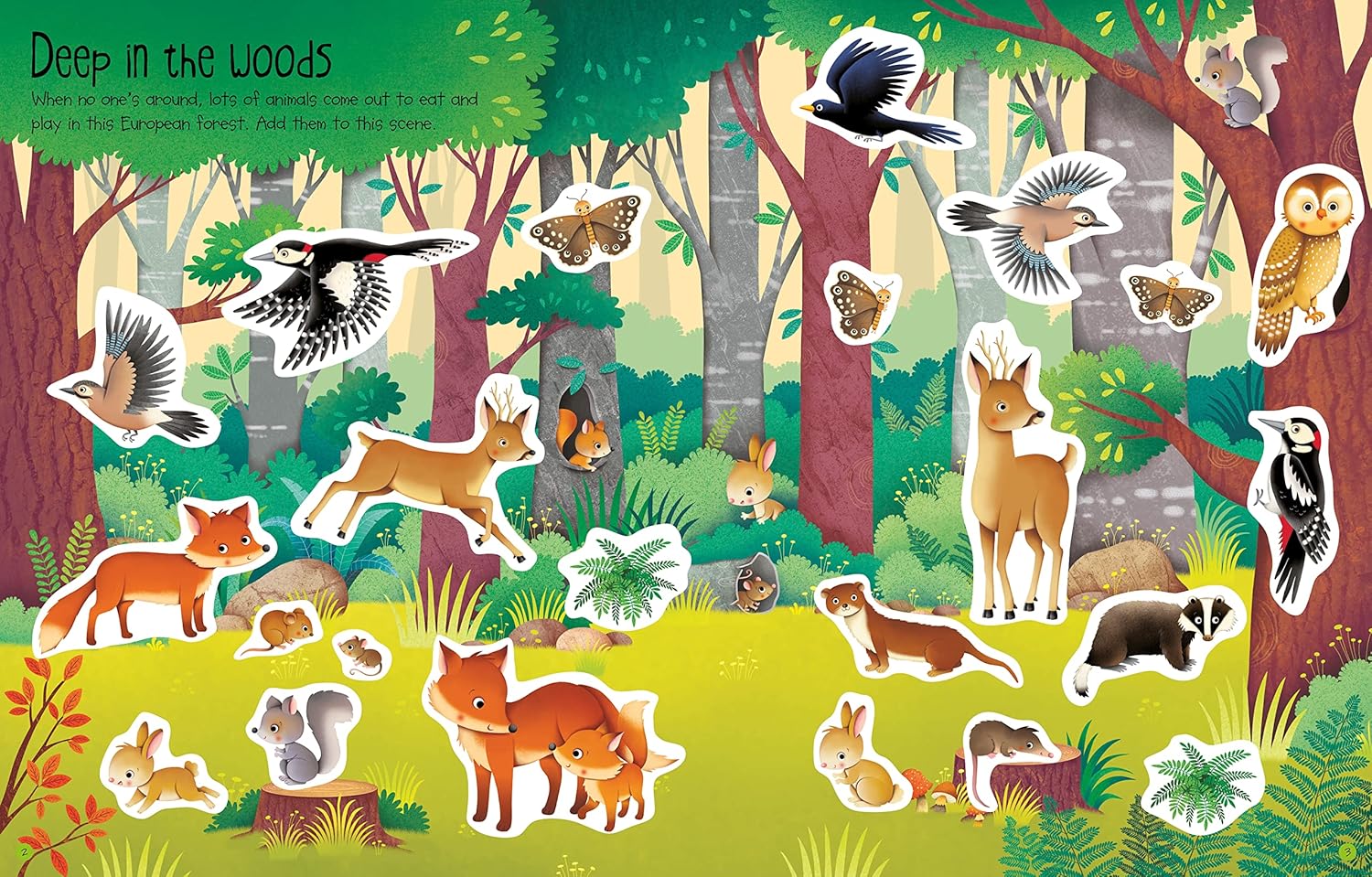 First Sticker Book Nature