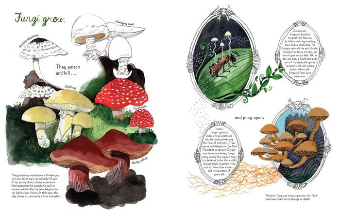 Fungi Grow Picture Book