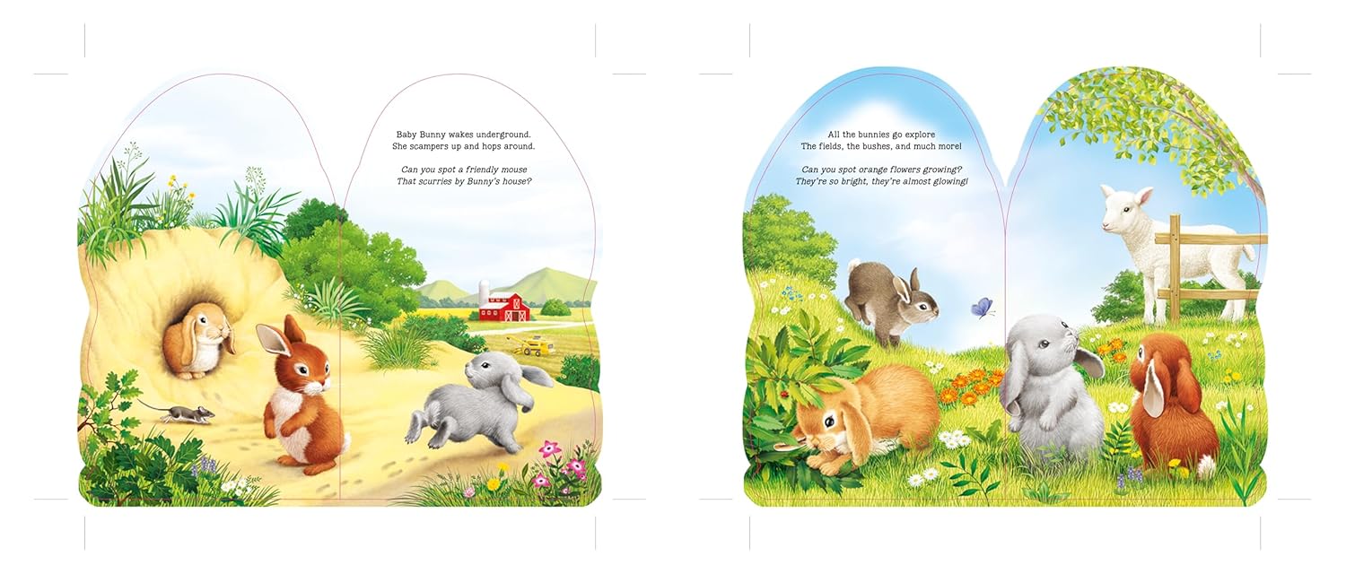 Furry Bunny Board Book