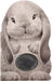 Furry Bunny Board Book