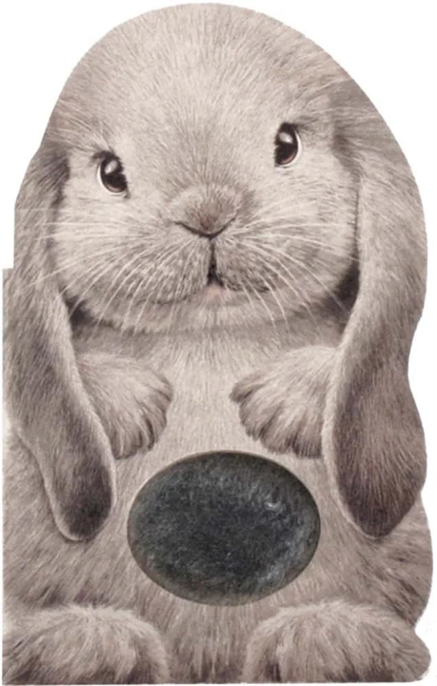 Furry Bunny Board Book