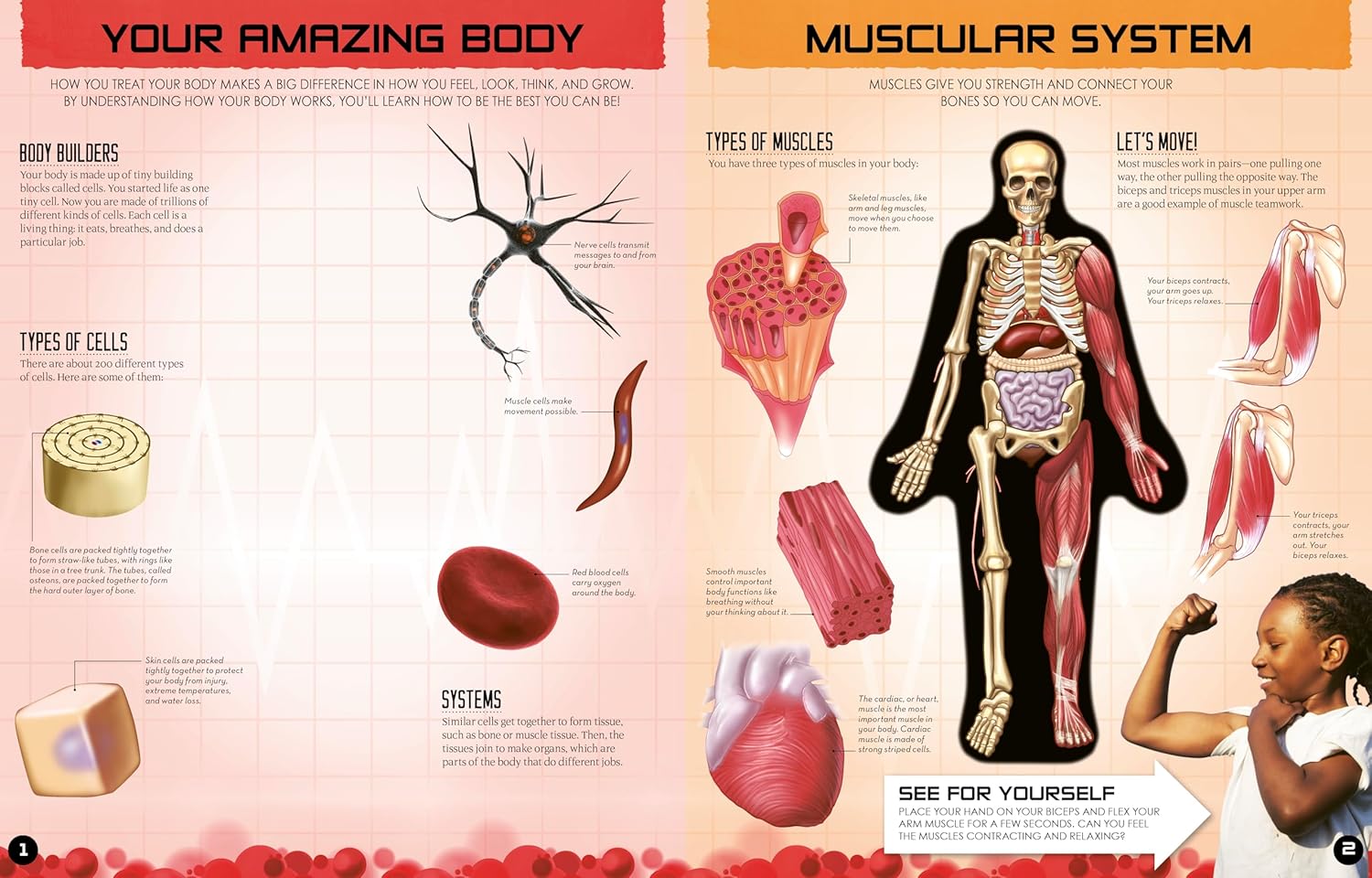 Inside Out Human Body Book