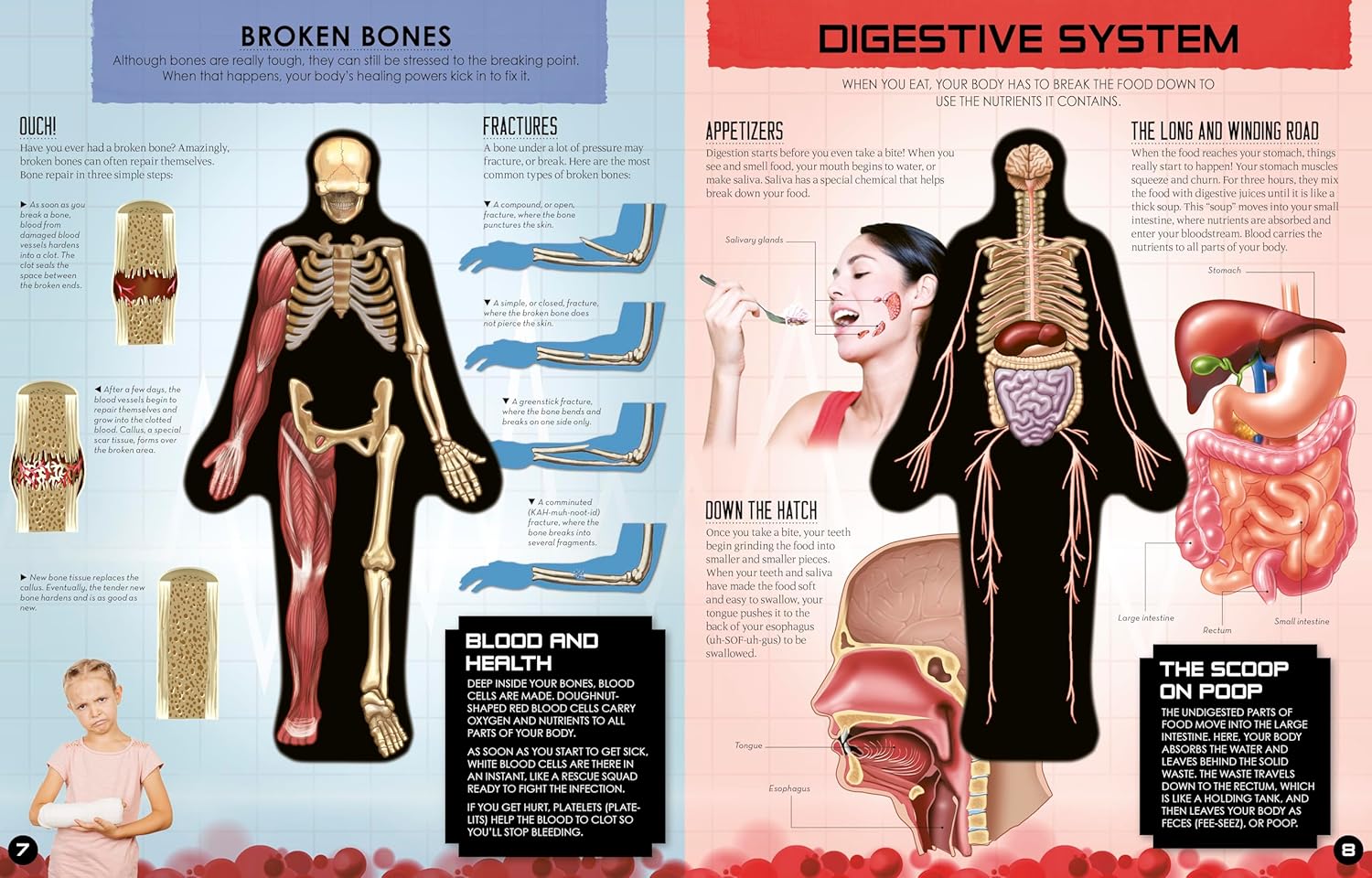 Inside Out Human Body Book