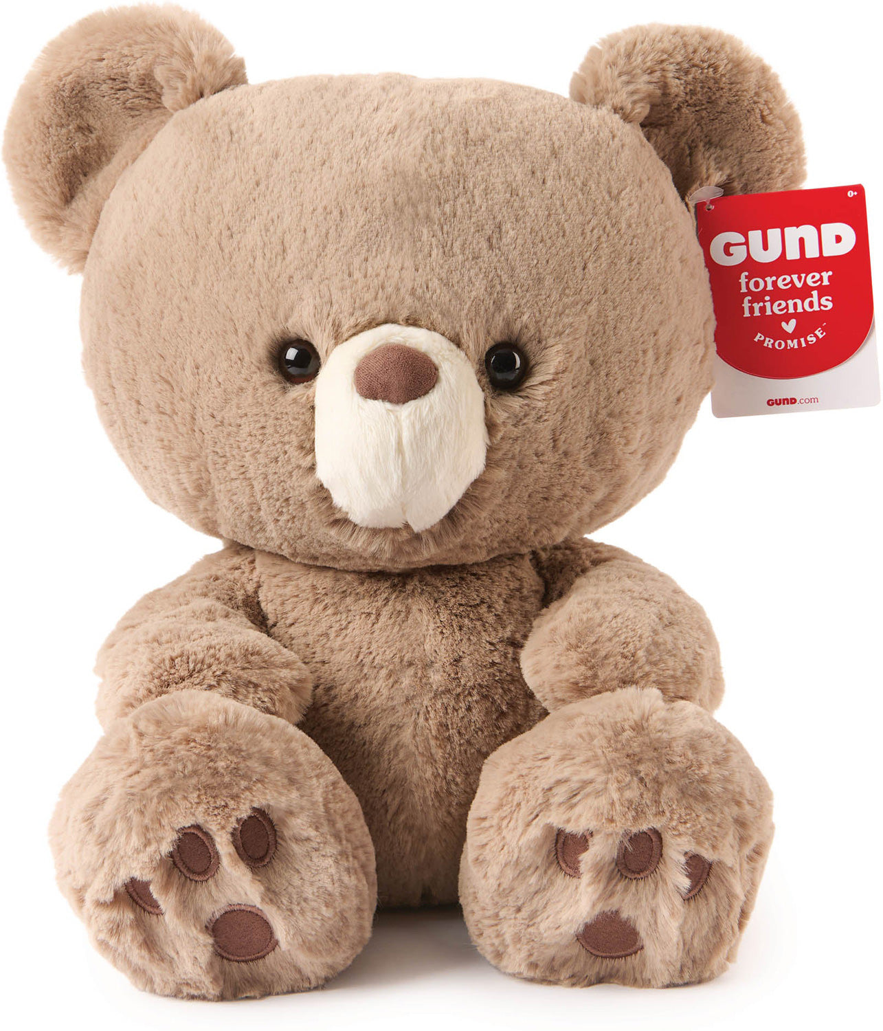 Kai 12" Forever Friends Teddy Bear