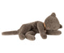 Maileg Medium Grey Sleeping Kitten Plush