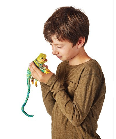 Mini Collared Lizard Puppet