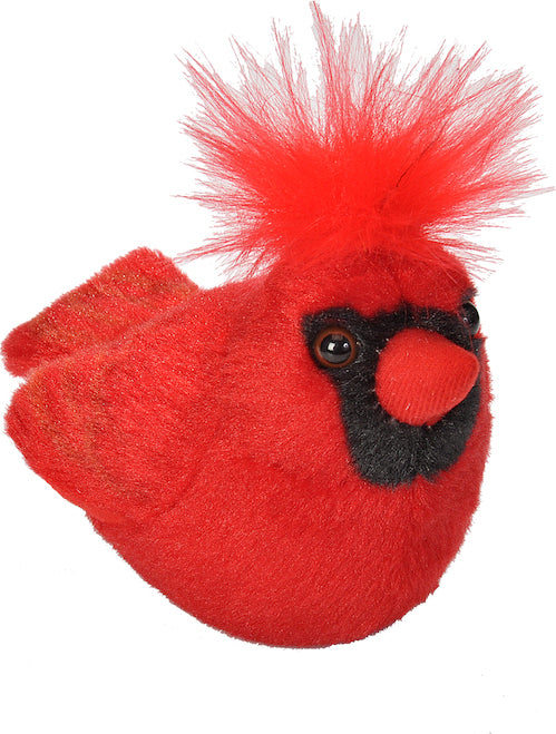 Northern Cardinal Audubon II Bird