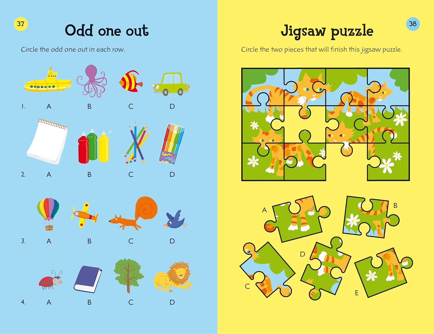 Over 80 Brain Puzzles