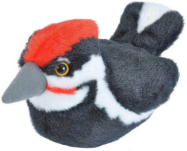 Pileated  Woodpecker Audubon II Bird