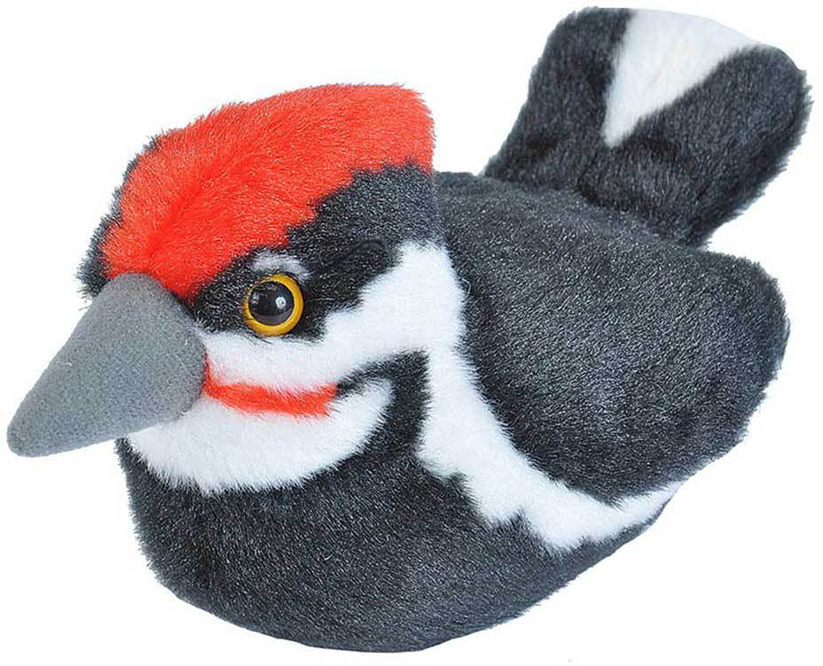 Pileated  Woodpecker Audubon II Bird