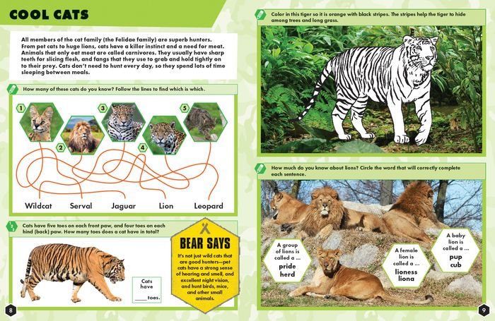 Predators Bear Grylls Activity Book