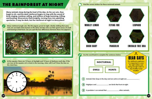 Rainforests Bear Grylls Activity Book