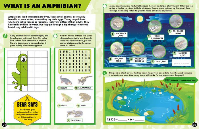 Reptiles & Amphibians Bear Grylls Activity Book