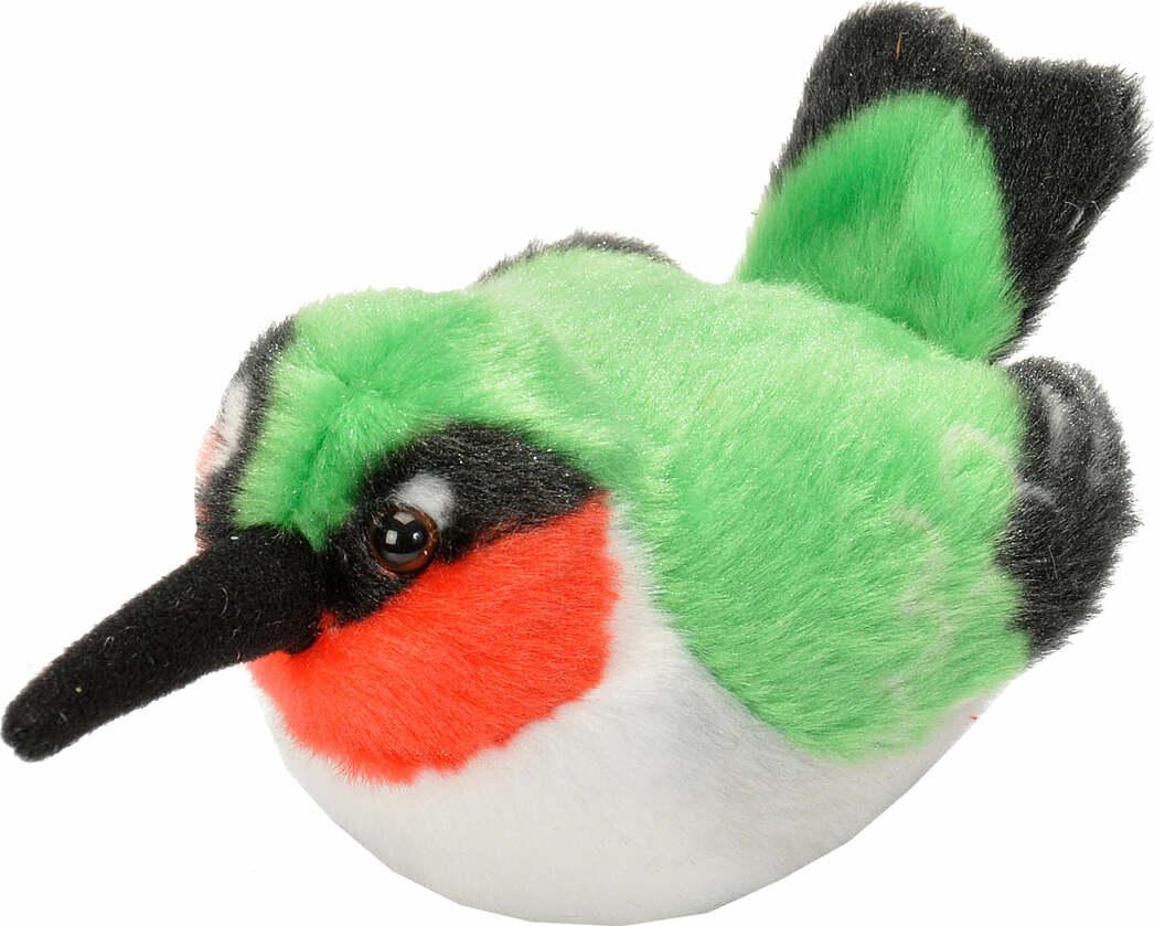 Ruby Throat Hummingbird Audubon II Bird