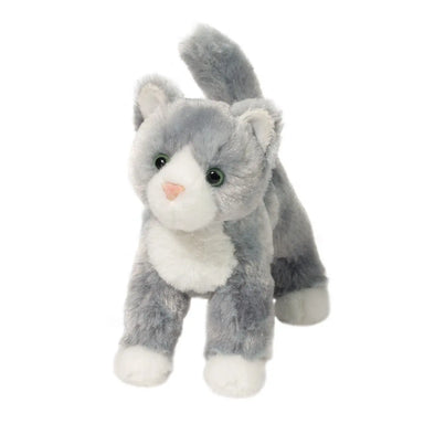 Scatter Grey Cat