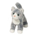 Scatter Grey Cat