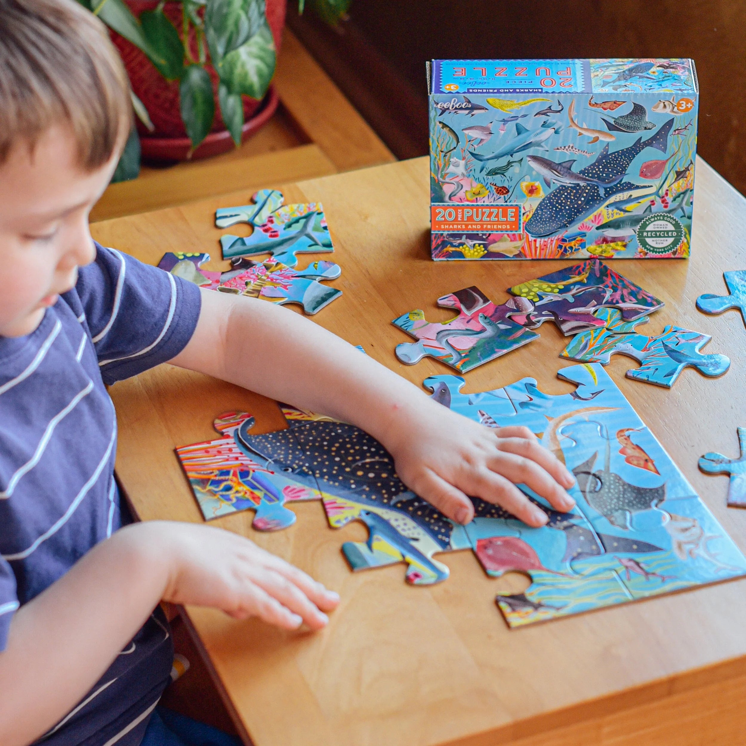 Sharks and Friends 20 Pc Puzzle