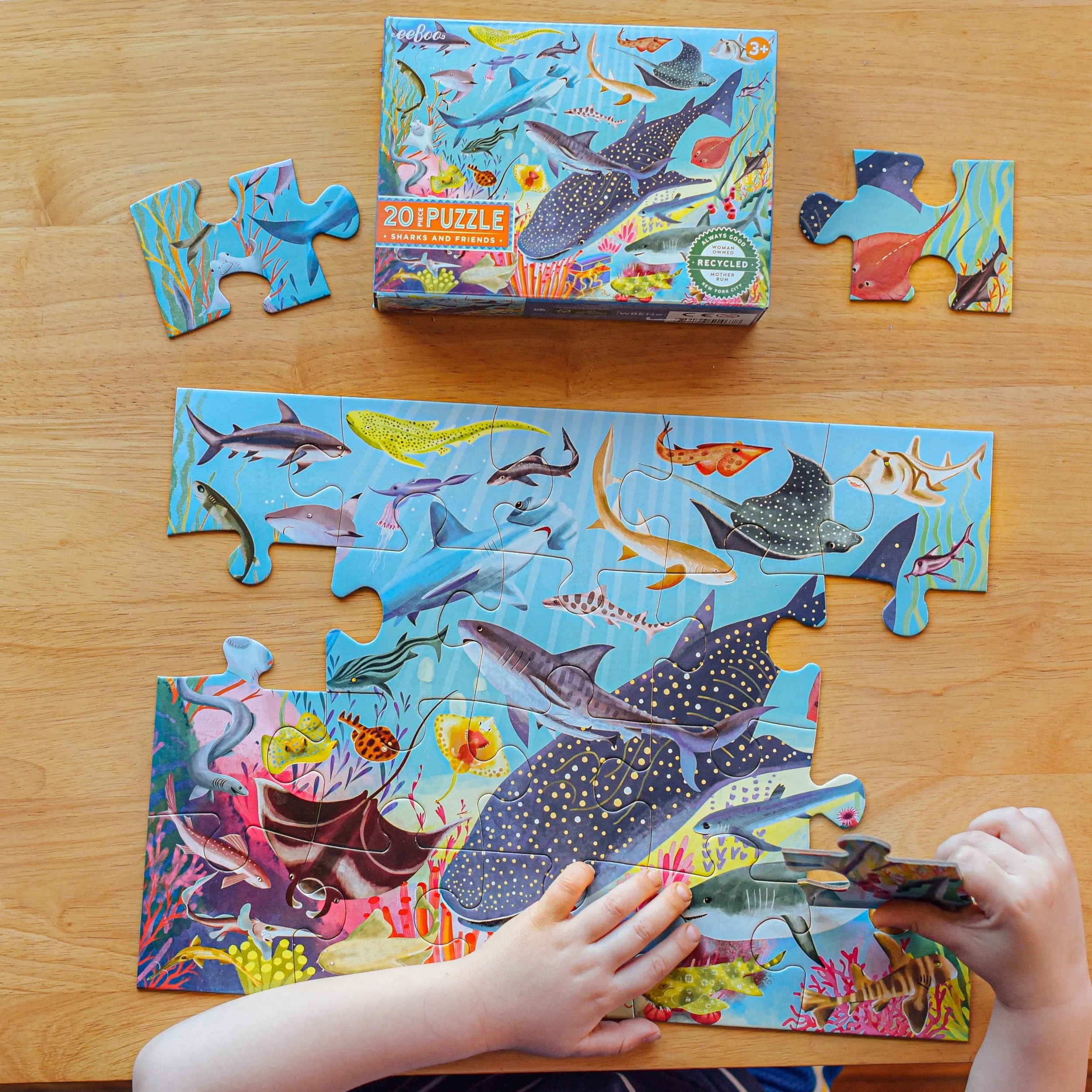 Sharks and Friends 20 Pc Puzzle