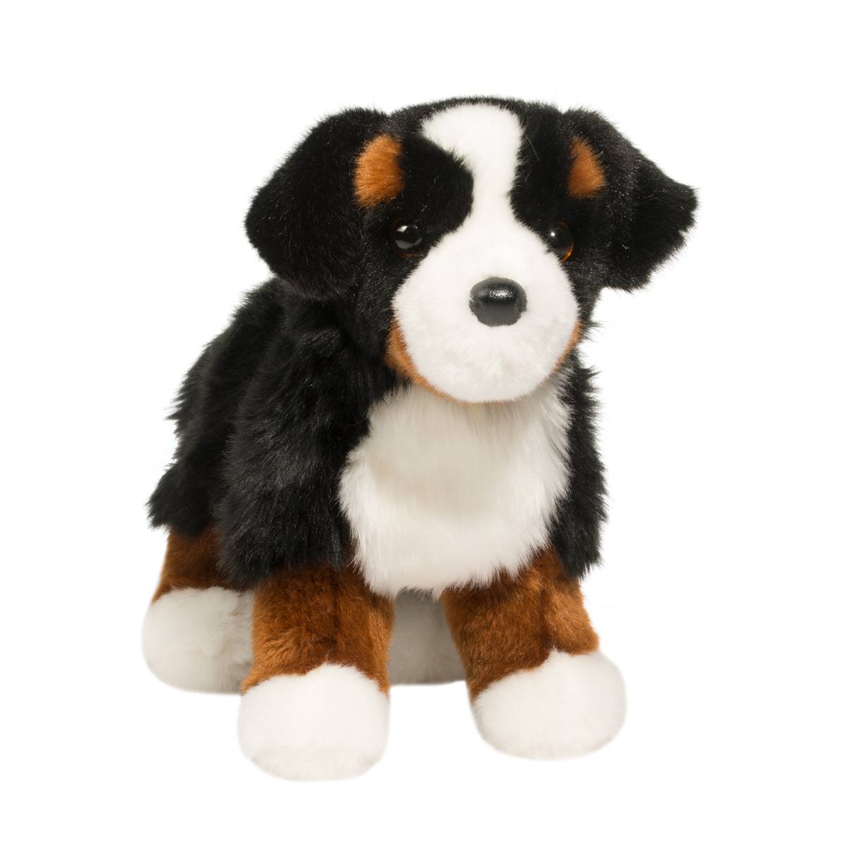 Stevie Bernese Mountain Dog